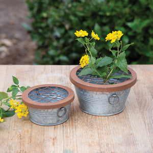 Galvanized Flower Pails
