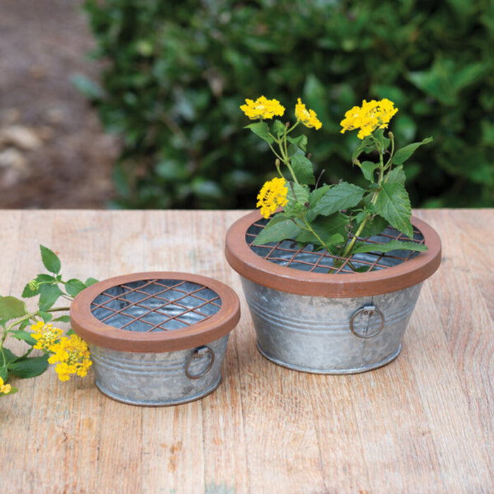 Galvanized Flower Pails