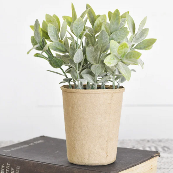Tea Leaf in Paper Pot