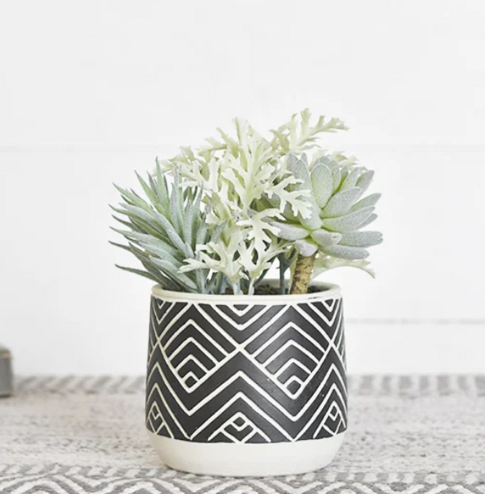 Geometric Print Pot with Mixed Succulents