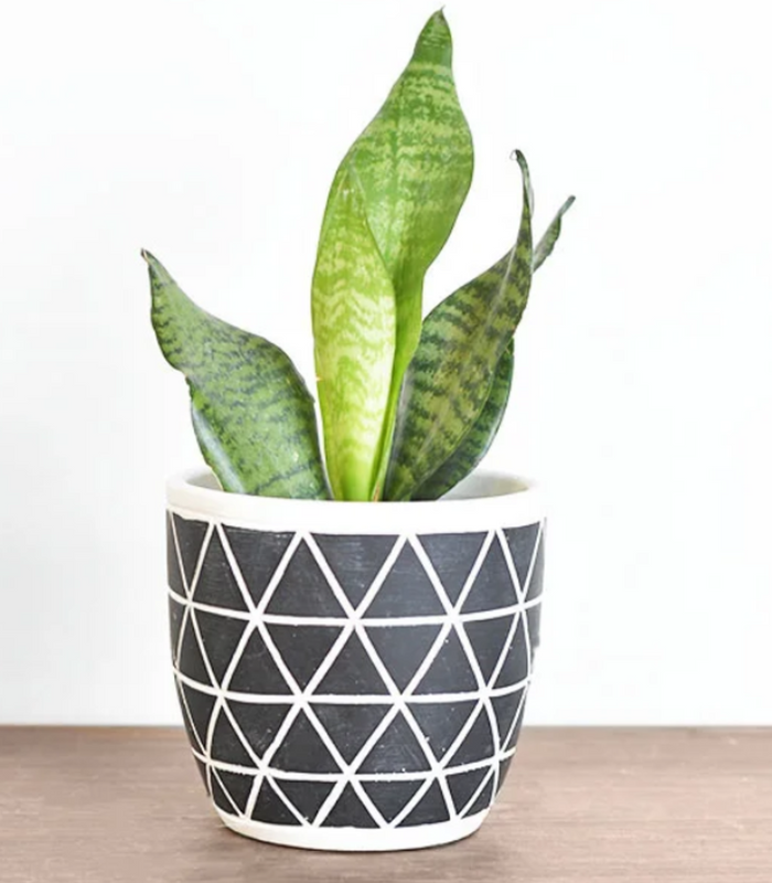 Diamond Geometric Pot
