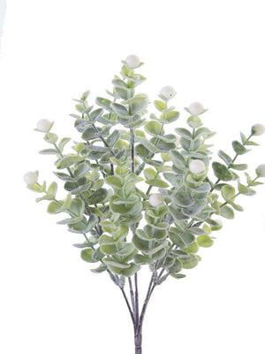 Frosted Eucalyptus