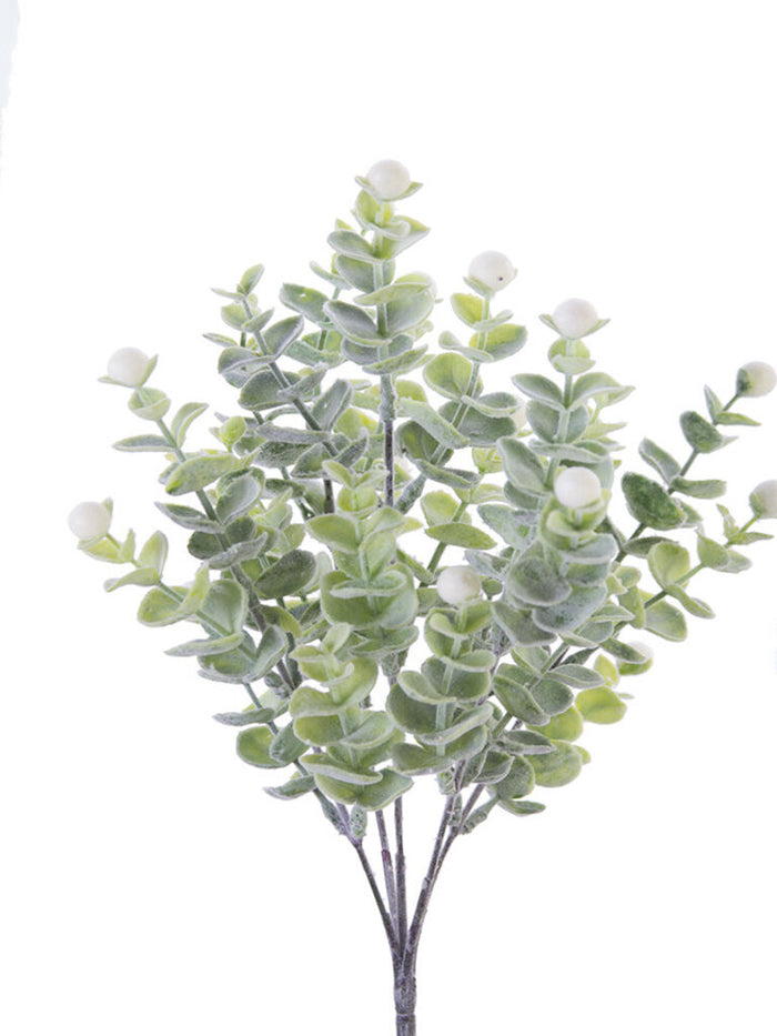 Frosted Eucalyptus