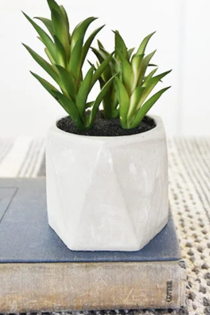 Geometric Cement Potted Succulent