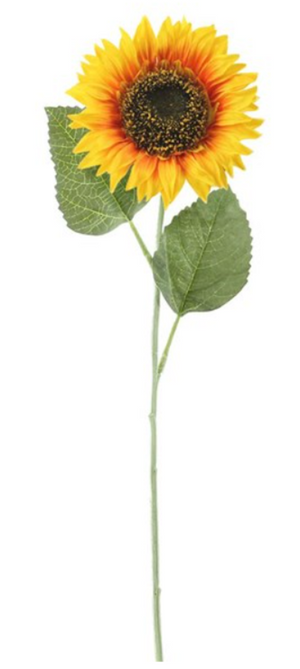 Yellow Sunflower Stem