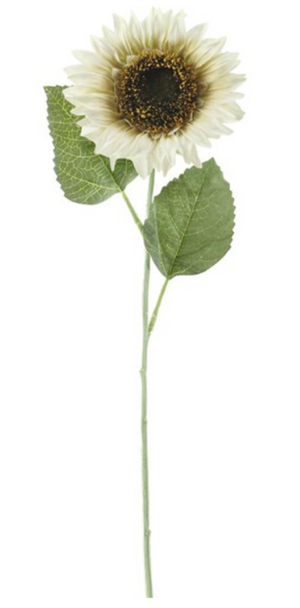 Ivory Sunflower Stem