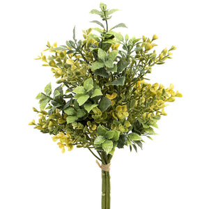 Yellow Boxwood Bundle