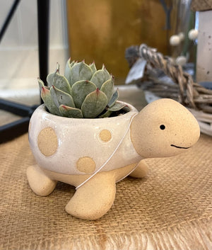 Ceramic Turtle Planter