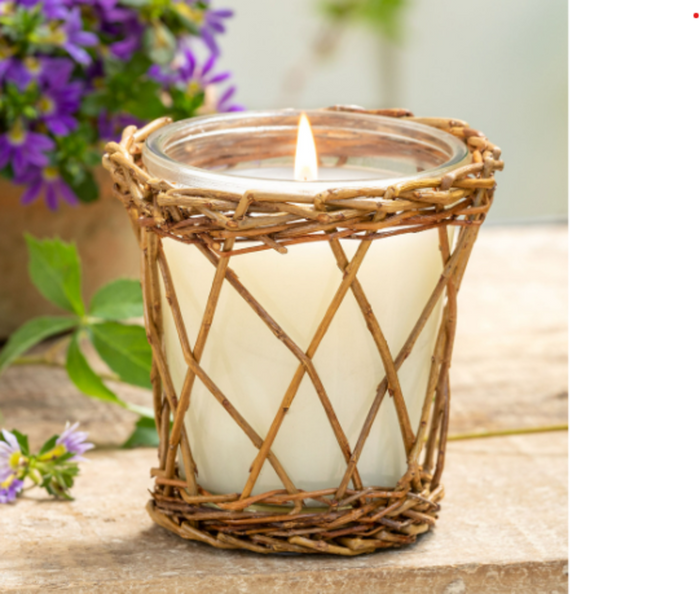 PH Lemon Verbena-Willow Candle ENP10007