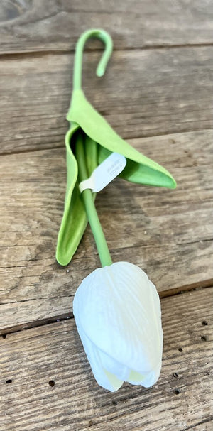 White Tulip Stem